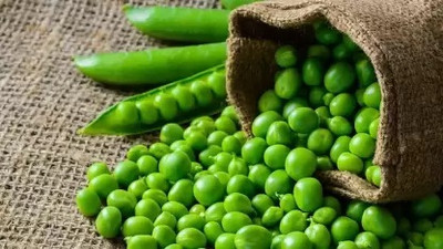 MAA Pea, Green Peas, Matar Seed(70 per packet)