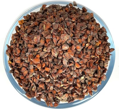 NaturePlanet Beedana - Bidana - Quince Seeds - Bahee Dana - Pyrus cydonia Seed(250 g)