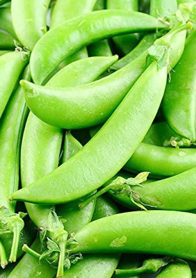 VibeX ® XXL-615 Pea Seed, Sugar Snap Pea Seed(50 per packet)