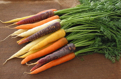 Qualtivate ICRA-8A Rainbow Carrot for Planting Seed(300 per packet)