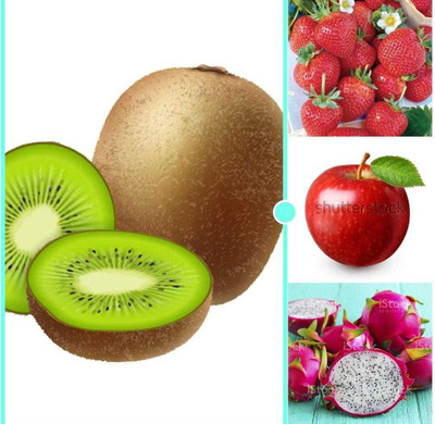 Oliver apple,litchi,kiwi,dragon fruit seeds Seed(183 per packet)