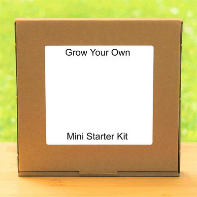 CRGO SEEDS KIT Seed(37 per packet)
