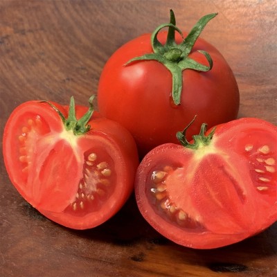 VRAKSHA Organic Tomato टमाटर Seed(1500 per packet)