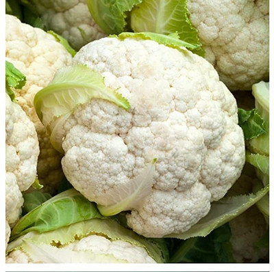 Qualtivate HUA-5A ORGANIC F1 HYBRID CAULIFLOWER SEEDS Seed(300 per packet)