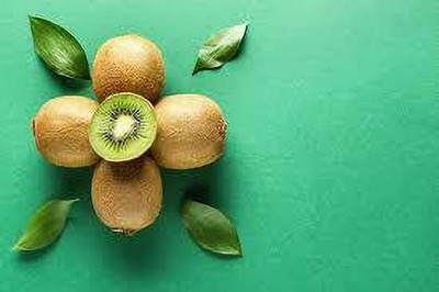XOLDAA KIWI FRUIT SEEDS HYBRID F1 QUALITY Seed(114 per packet)