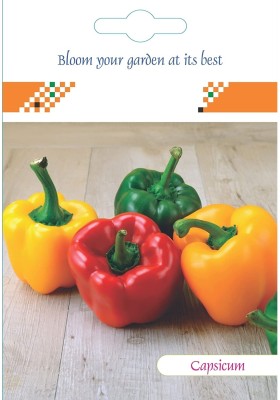 CYBEXIS Hybrid Capsicum Mix Seeds2400 Seeds Seed(2400 per packet)