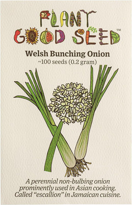 WILLVINE KGF -X Welsh Onion Seeds [5g] Seed(3000 per packet)