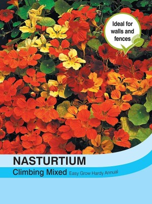 CYBEXIS Flowers - Nasturtium Climbing Mixed Seed(50 per packet)