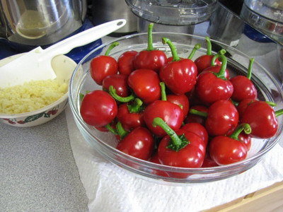 Biosnyg F1 Hybrid Trinidad Hot Cherry Pepper Seeds For Planting-(4000 Seeds) Seed(4000 per packet)