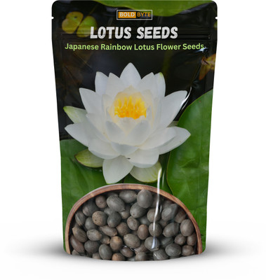 Bold Byte Lotus Seeds for Planting, Bonsai Lotus Seed Seed(10 per packet)