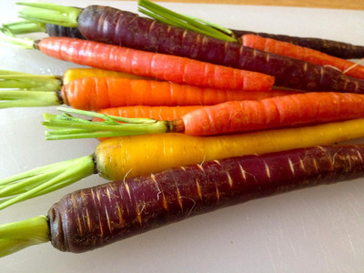 WILLVINE Garden Seeds Carrot Rainbow Blend Open Pollinated Seeds-[500 Seeds] Seed(500 per packet)