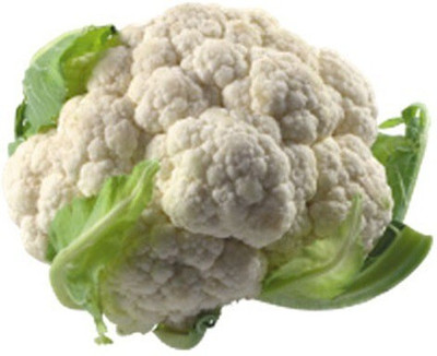 Quentova Phool Gobhi Cauliflower-11A-NDIR Seed(300 per packet)