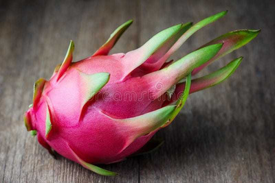 Oliver F1@quality dragon fruit seed Seed(180 per packet)