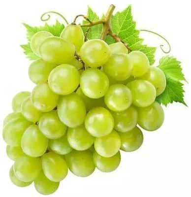 Quentova Extra Sweet green grapes-VK-2T Seed(150 per packet)