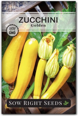 VibeX ATS-84 - Golden Zucchini - (75 Seeds) Seed(75 per packet)