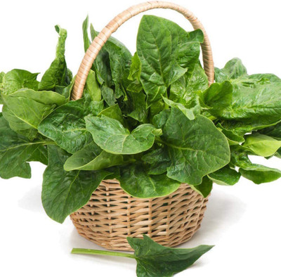 CYBEXIS Heirloom Spinach Seeds Fresh Green No Pollution4000 Seeds Seed(4000 per packet)