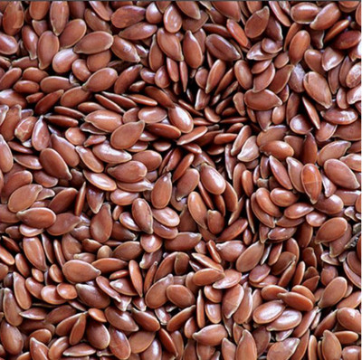 Farmers Choice flax alsi beej Seed(500 per packet)