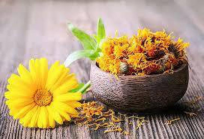 greenfarm Calendula Mixed seeds Pure organic C79 Seed(85 per packet)