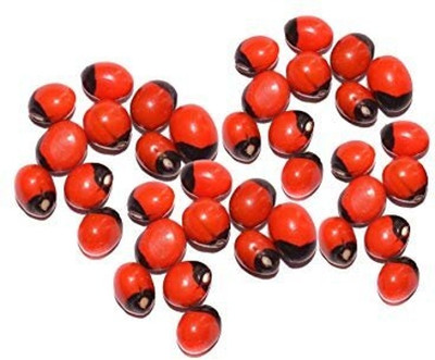 PADMAVATHI ENTERPRISES Chirmi Red Seed(51 per packet)