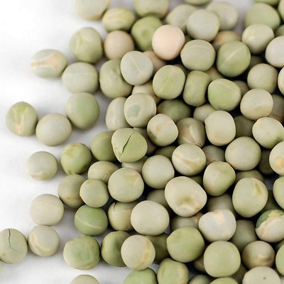 CYBEXIS TLX-75 - Organic Dried Green Pea Sprouting - (900 Seeds) Seed(900 per packet)