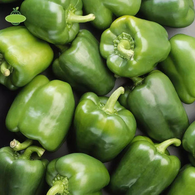 Quentova शिमला मिर्च Capsicum/Shimla Mirch-5W-AHS Seed(75 per packet)