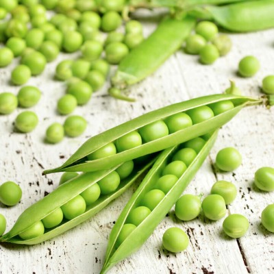 Quentova Peas Matar Super Sweet-VK-11J Seed(100 per packet)