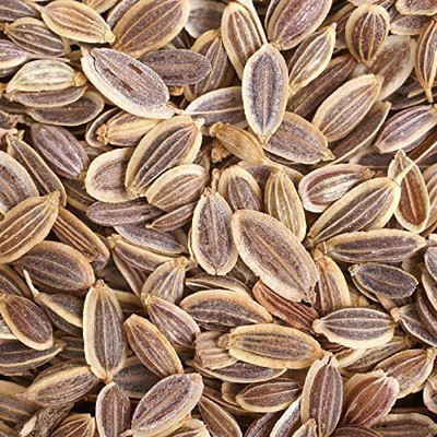 CYBEXIS XL-29 - Bouquet Dill - (750 Seeds) Seed(750 per packet)