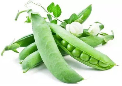 Quentova Peas Matar Super Sweet-VOX-11F Seed(50 per packet)