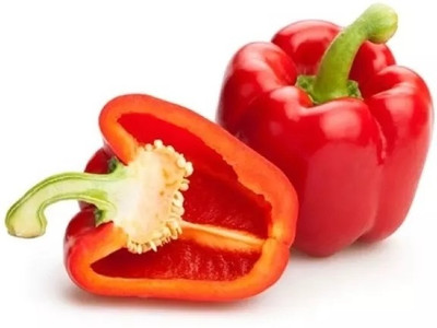 Quentova Capsicum(Red) Shimla Mirch/Bell Pepper-7E-KTL Seed(50 per packet)