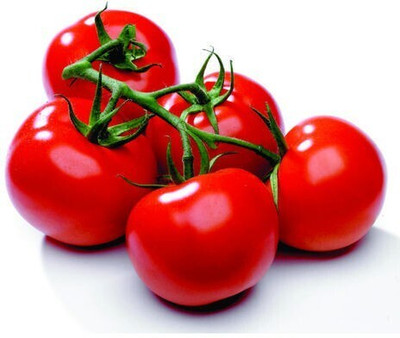 Avysa TOMATO Seed(2000 per packet)