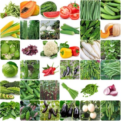 abiswas 40 Variety Vegetable Seeds Combo Pack Seed(2100 per packet)