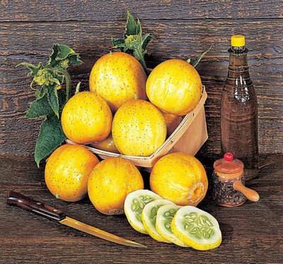 CYBEXIS PUAS-43 - Lemon Cucumber - (150 Seeds) Seed(150 per packet)