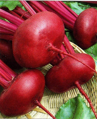 LPR CHUKANDAR,,BEETROOT Seed(100 per packet)