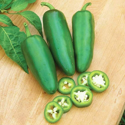 KNESSiN Jalapeno Pepper Hot Chilli Seed(1250 per packet)