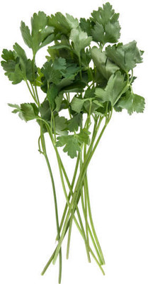 XOLDAA CORIANDER Seed(50 per packet)