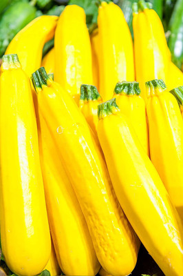 VibeX ® VLR-371 Squash Summer Zucchini Golden Yellow Seed(100 per packet)