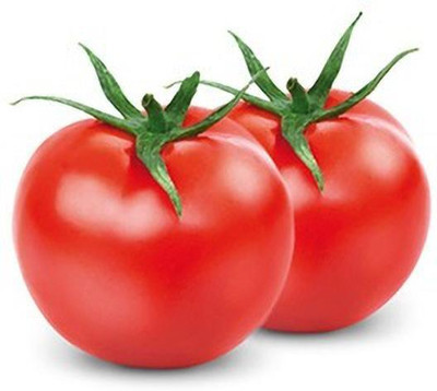 Quentova Salad tomatoes cherry-CTU-7P Seed(300 per packet)