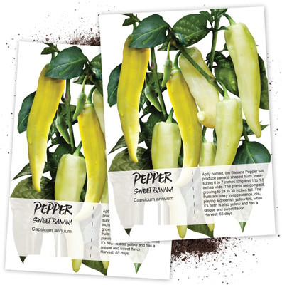 WILLVINE Non-GMO HybridSweet Banana Pepper (Capsicum annuum)-1250 Seeds Seed(1250 per packet)