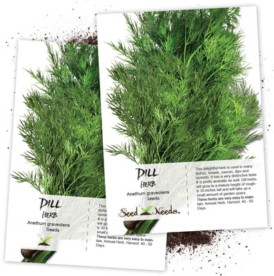 WILLVINE Dill Culinary Herb (Anethum graveolens)-2 x Packet Seed(200 per packet)