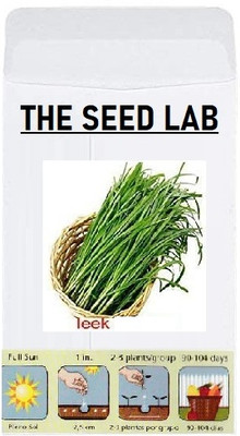 KNESSiN Leek Seed(1250 per packet)