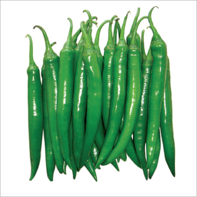 XOLDA Organic Chilli vasuda Seed(15 per packet)