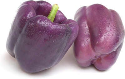 KNESSiN Heat Tolerant Purple Beauty Capsicum Seeds For Planting-(800 Seeds) Seed(800 per packet)