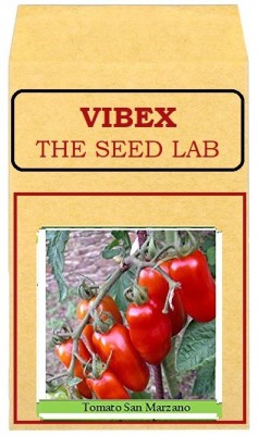 CYBEXIS Tomato San Marzano Hybrid Seeds 2000 Seeds Seed(2000 per packet)