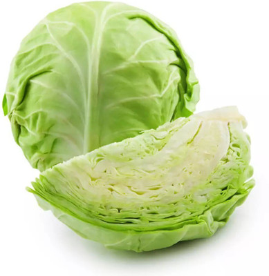 Quentova Green Cabbage-LXI Seed(75 per packet)