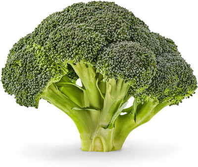 WILLVINE VMR -I Waltham 29 Broccoli Seed, Non-GMO [2.5g] Seed(750 per packet)