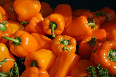 Qualtivate RES-9A California Wonder Pepper Seeds Seed(100 per packet)
