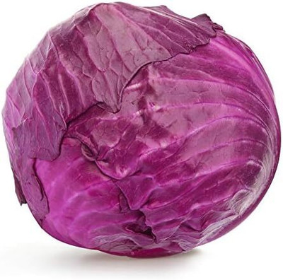 WILLVINE PUSA -VIII Heirloom Red Acre Cabbage Seeds [2.5g] Seed(750 per packet)