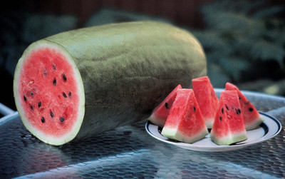 CYBEXIS XLR-23 - Charleston Gray Watermelon - (150 Seeds) Seed(150 per packet)