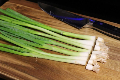 Qualtivate PUA-9A Spring Cut Bunching Onion Seeds Seed(500 per packet)