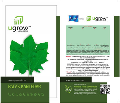 U-GROW INDIA CRINKLED LEAF SPINACH: FRESH AND NUTRITIOUS KANTEDAR PALAK Seed(75 per packet)
